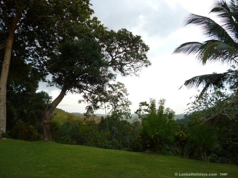 Garden surroundings