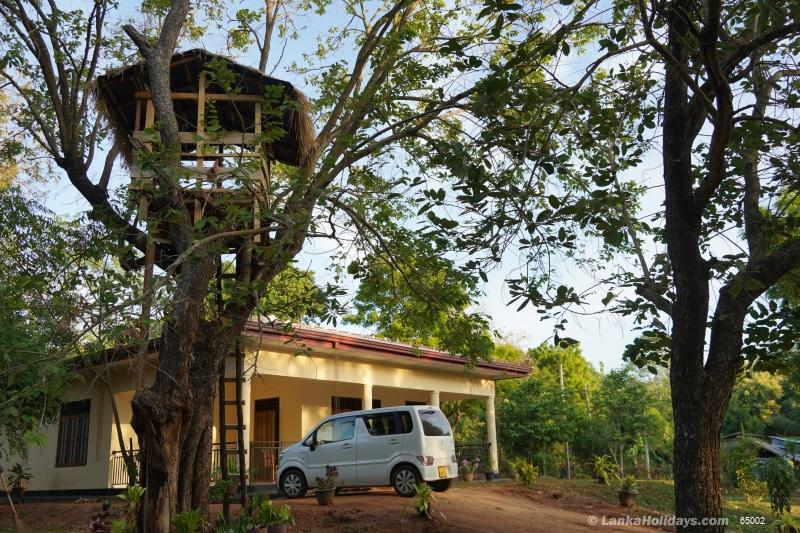 Tree house on the compound